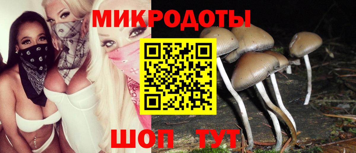 Галлюциногенные грибы мицелий Шарыпово